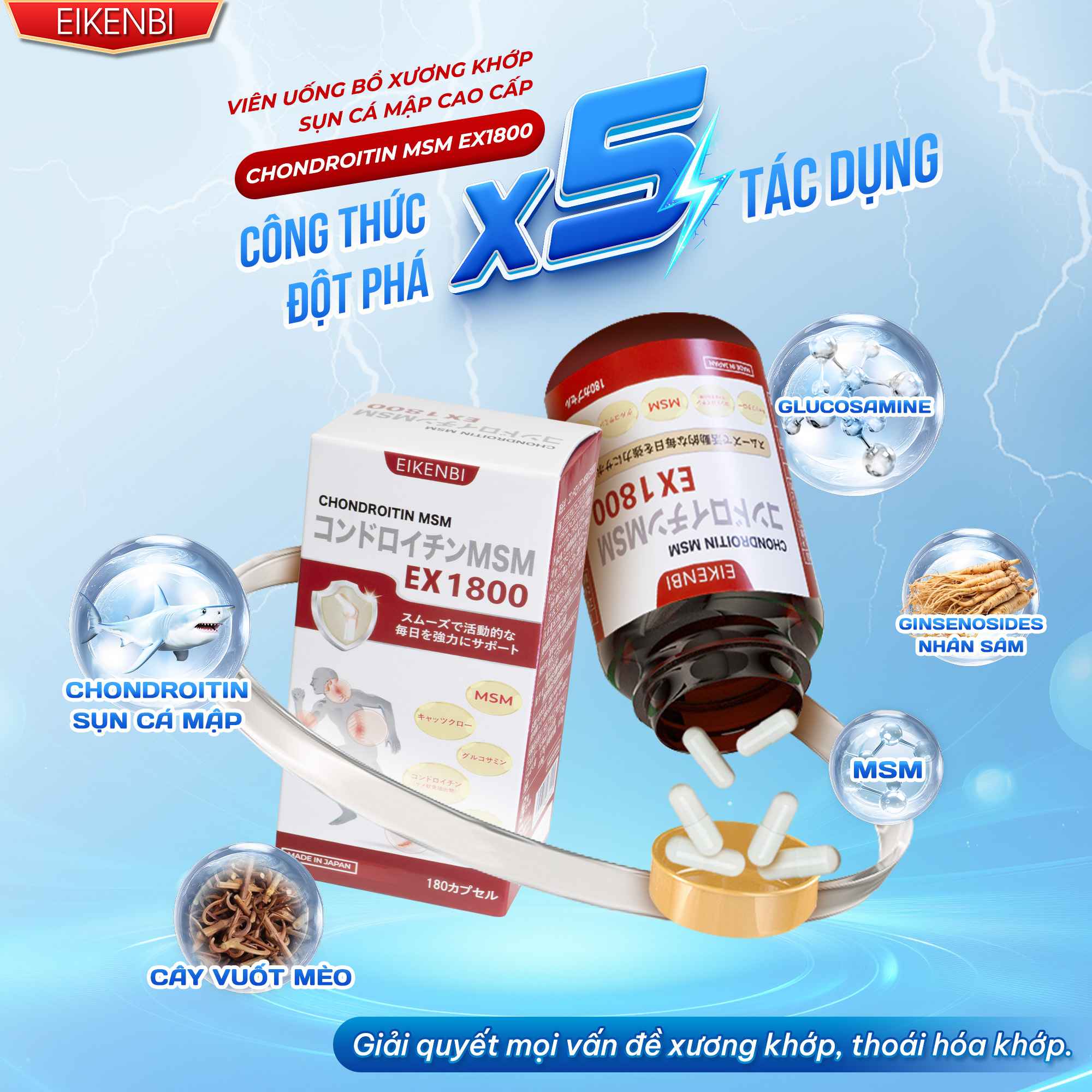 Thành Phần Sản Phẩm Viên Uống Bổ Xương Khớp Chondroitin MSM Ex1800