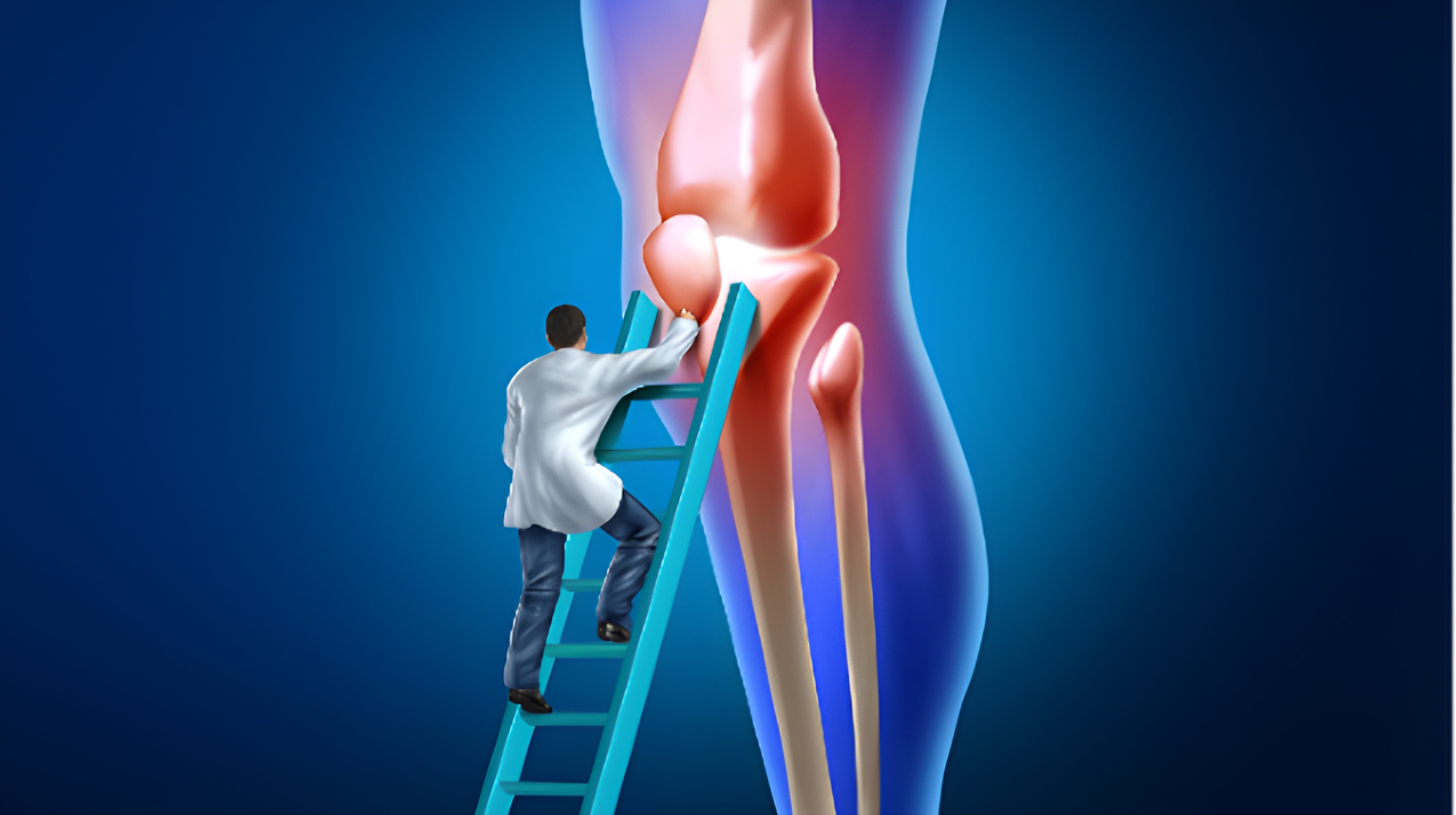 Nhóm xương khớp và vận động