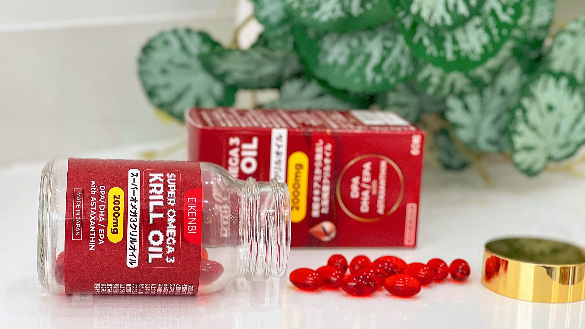 Omega 3 Nhật Bản là gì?