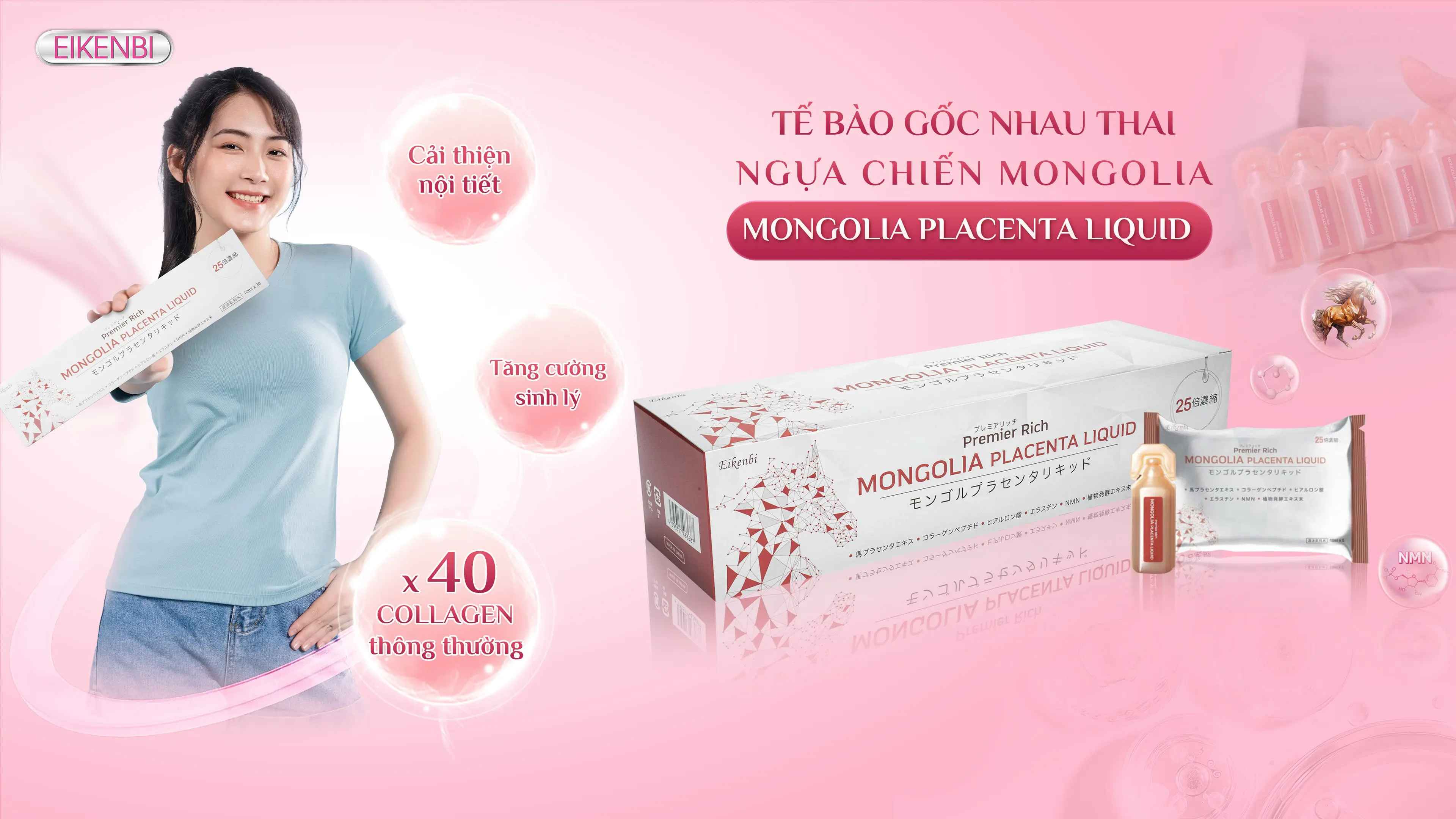 Tế bào gốc nhau thai ngựa chiến Mongolia Eikenbi
