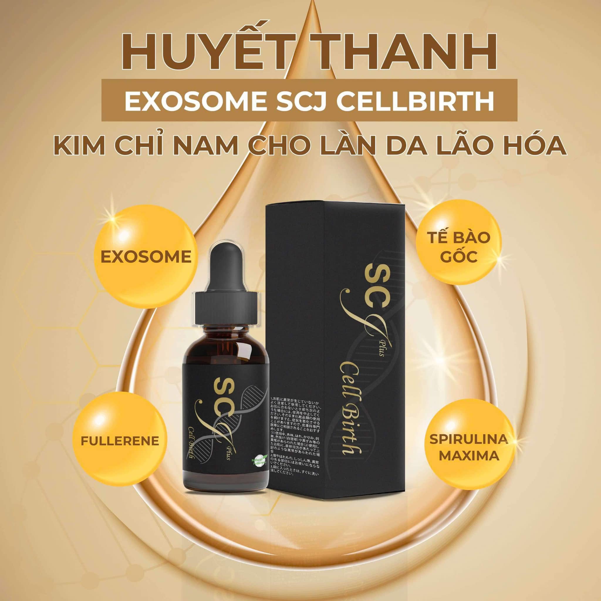 Thành phần của huyết thanh tế bào gốc Exosome Scj Cell Birth Plus