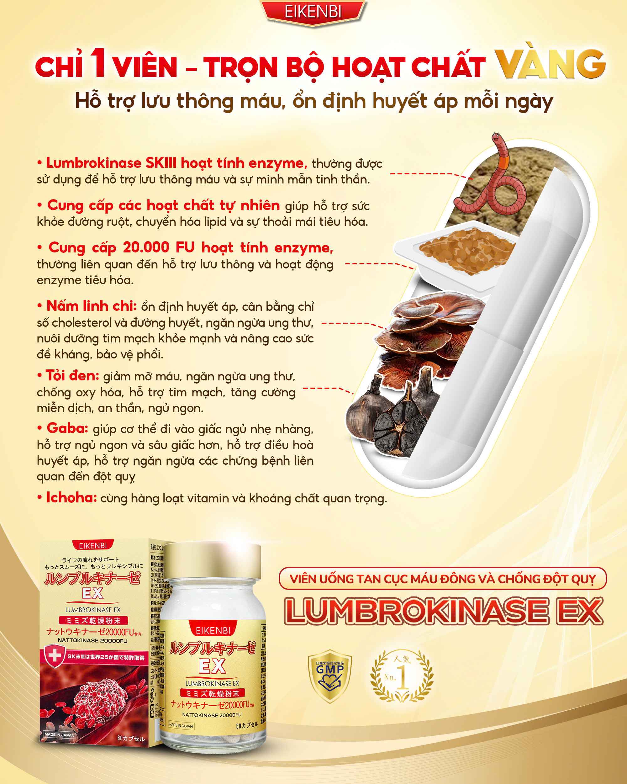 Thành Phần Của Viên Uống Tan Cục Máu Đông Và Chống Đột Quỵ Lumbrokinase Ex Eikenbi