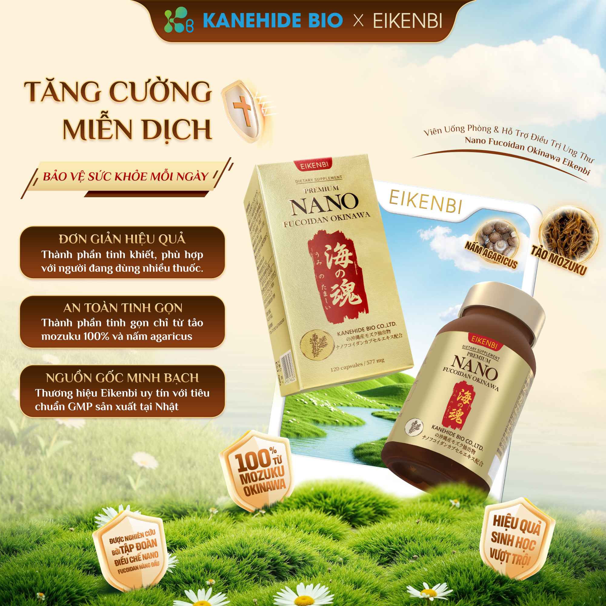 Thành Phần Của Viên Uống Ngừa Ung Thư Nano Fucoidan Okinawa Kanehide Bio x Eikenbi