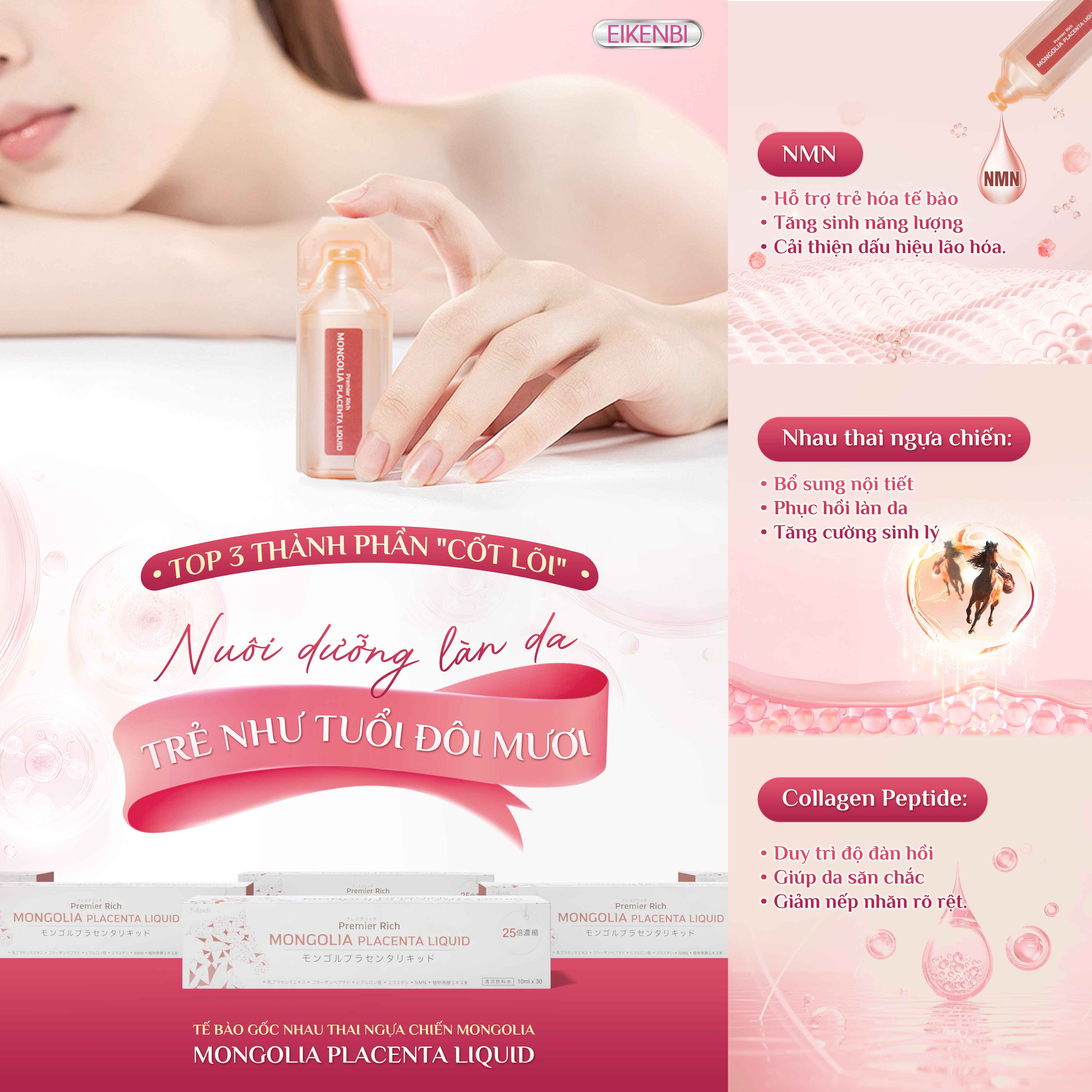 Thành Phần Sản Phẩm Tế Bào Gốc Nhau Thai Ngựa Chiến Mongolia Placenta Eikenbi