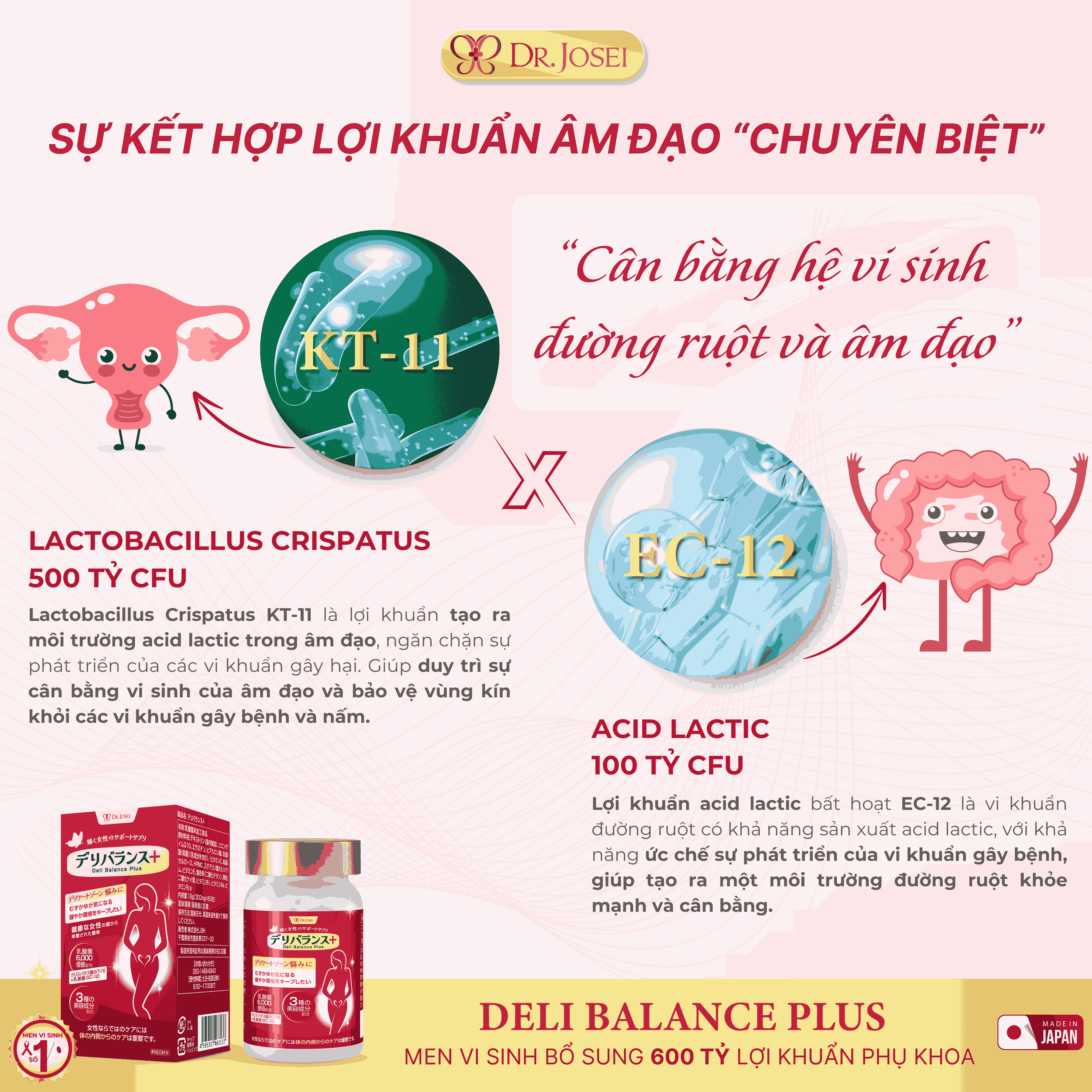 Hàm lượng 600 tỷ lợi khuẩn vượt trội