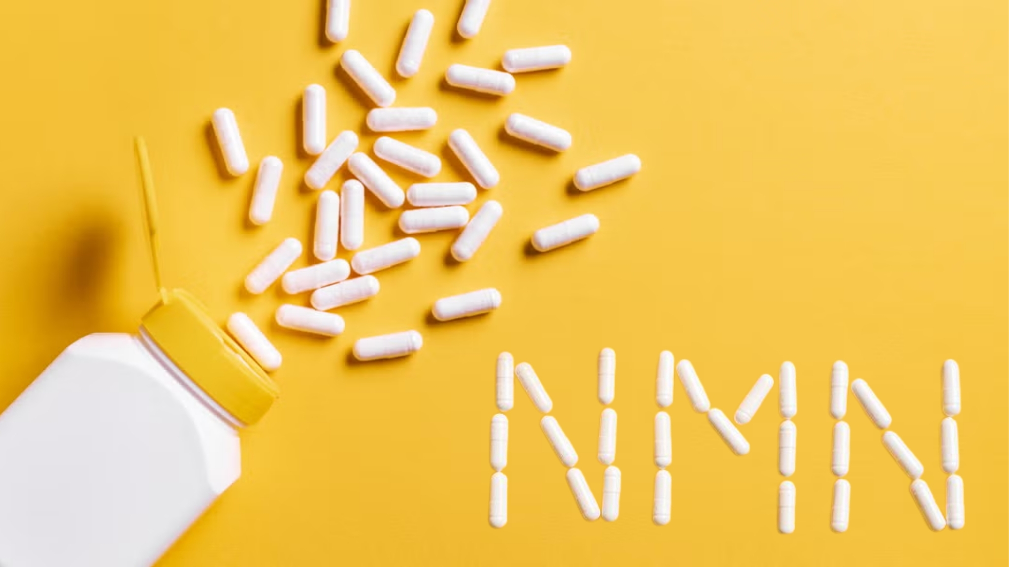 Uống NMN trước hay sau ăn để cơ thể hấp thu tốt hơn?