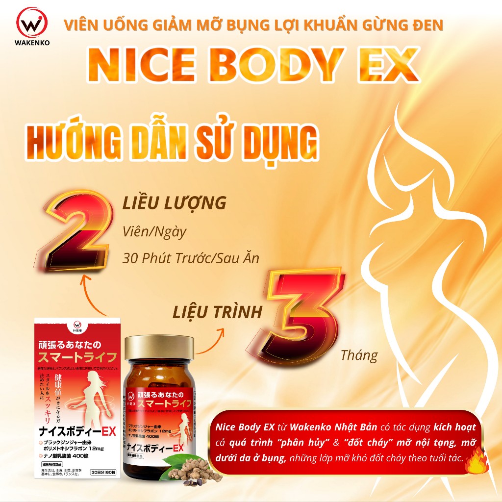 Viên Uống Giảm Mỡ Bụng Lợi Khuẩn Vừng Đen Nice Body Wakenko