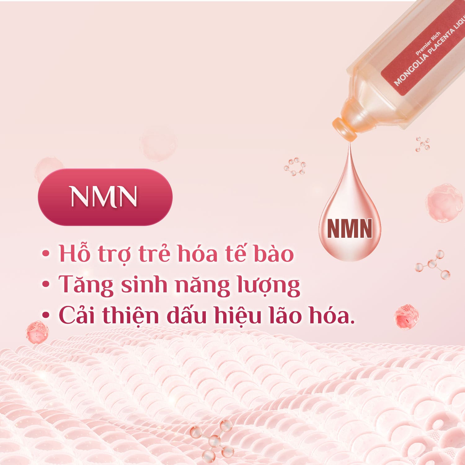 Công Dụng Sản Phẩm Tế Bào Gốc Nhau Thai Ngựa Chiến Mongolia Placenta Eikenbi