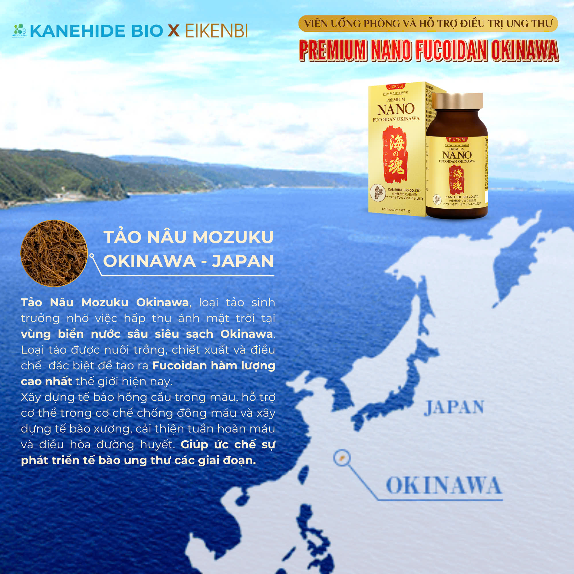 Viên uống Nano Fucoidan Okinawa Kanehide Bio x Eikenbi