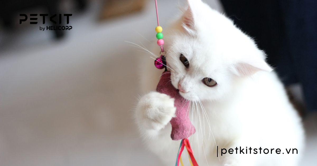 âm thanh mèo thích