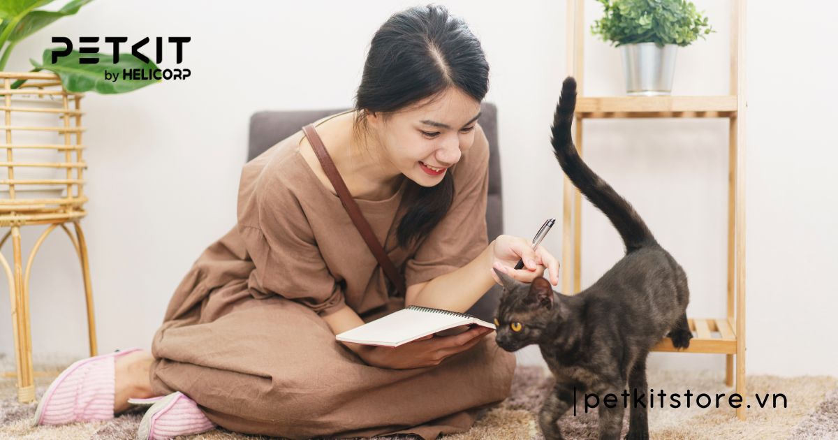 âm thanh mèo thích