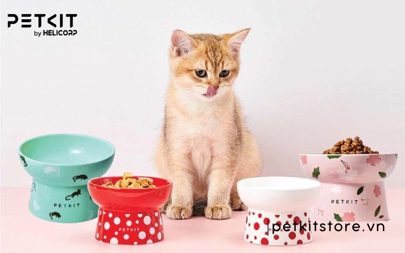 phụ kiện chó mèo petkit