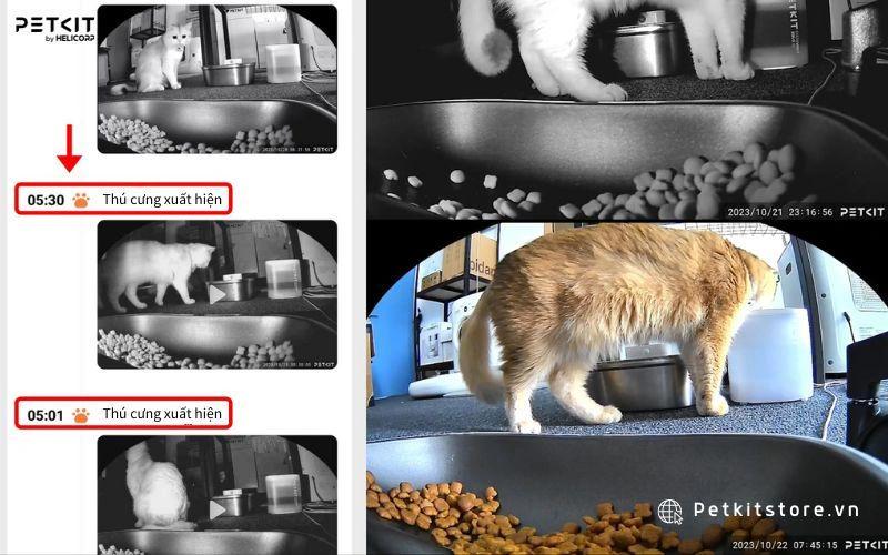Máy cho mèo ăn PETKIT YUMSHARE GEMINI theo dõi được hành vi ăn uống của mèo qua camera