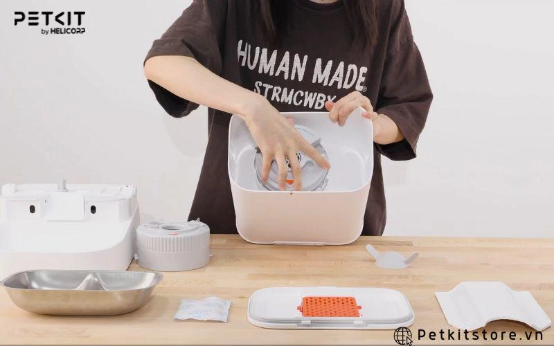 Lắp ráp các bộ phận vào vị trí ban đầu