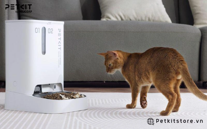 PETKIT YUMSHARE GEMINI mang đến cho mèo bữa ăn ngon miệng