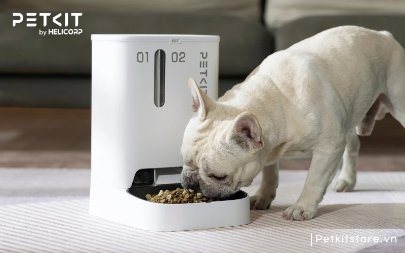 Máy ăn có camera PETKIT YUMSHARE GEMINI với thiết kế hiện đại thích hợp cho chó và mèo ăn