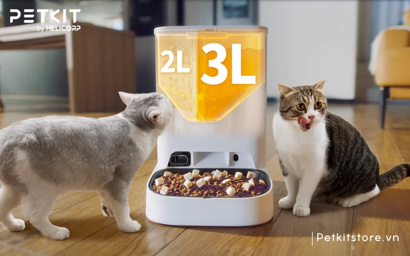 Lựa chọn máy ăn có camera và dung tích 5L cho gia đình có nhiều mèo