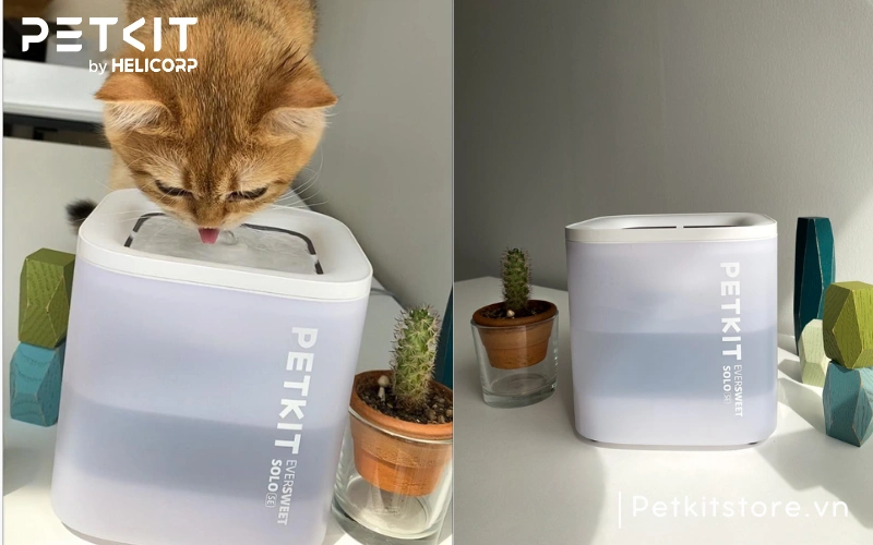 Máy lọc nước cho mèo PETKIT SOLO SE giúp mèo chăm uống nước hơn