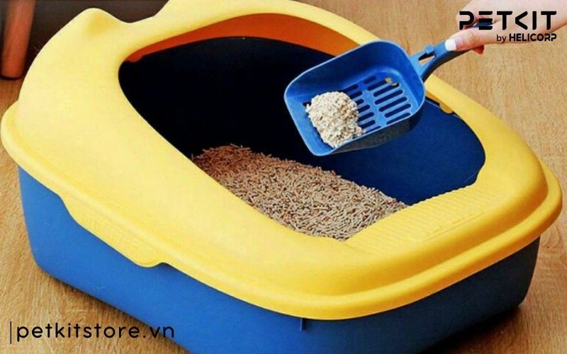 cách cho mèo đi vệ sinh vào cát