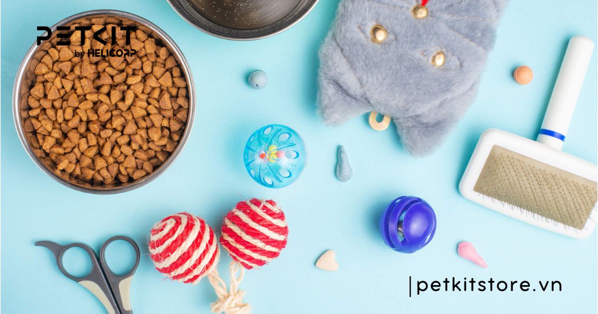 cách nhận biết mèo con đực hay cái