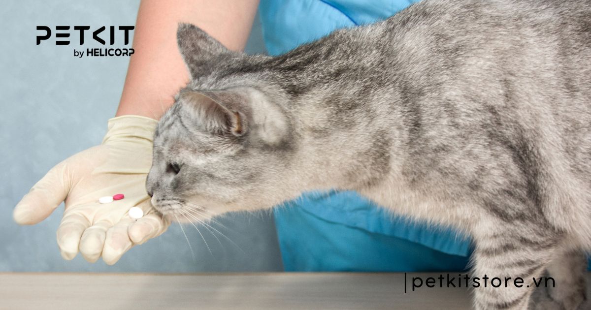 cách tẩy giun cho mèo