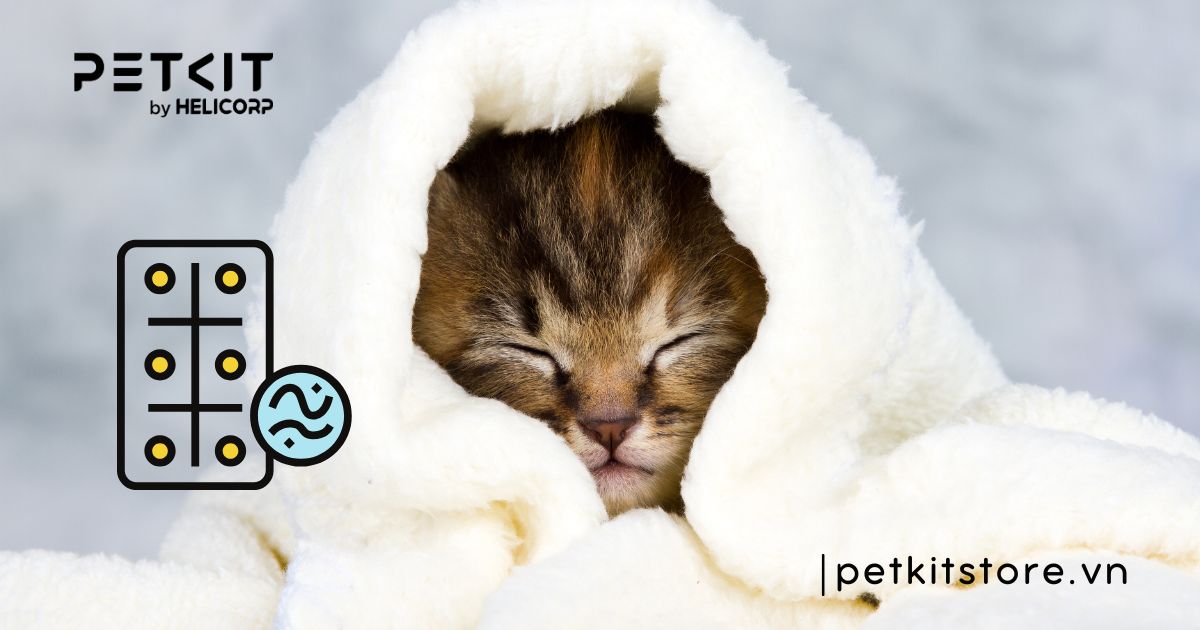 cách tẩy giun cho mèo