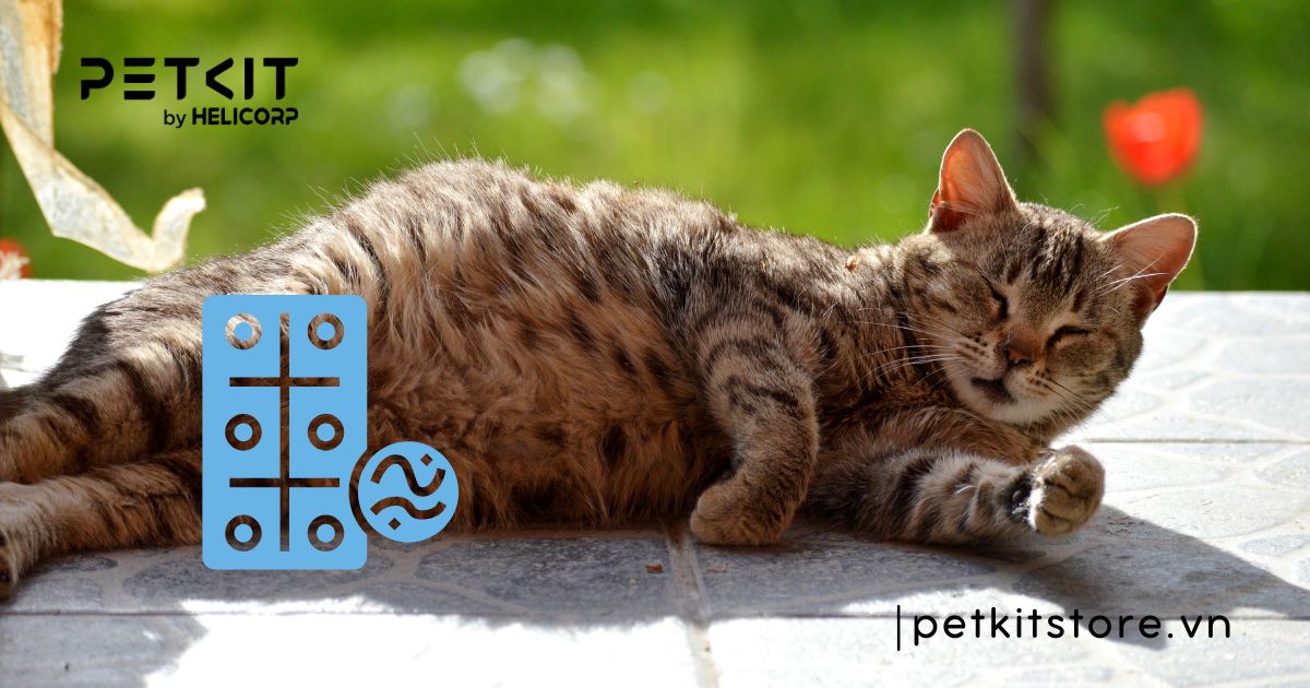 cách tẩy giun cho mèo