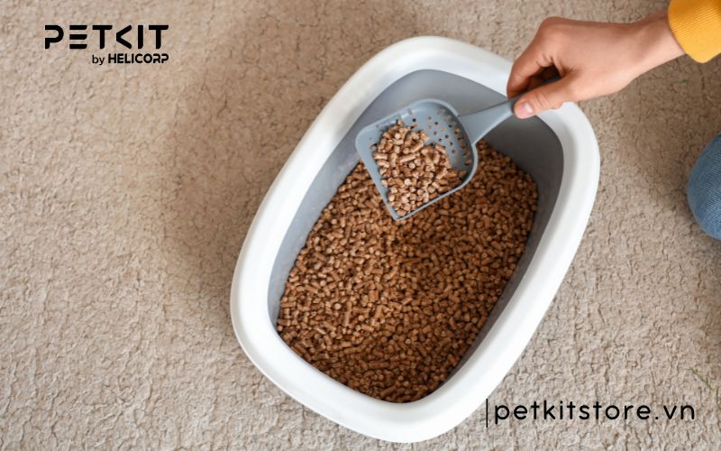 Hướng dẫn cách xử lý cát mèo