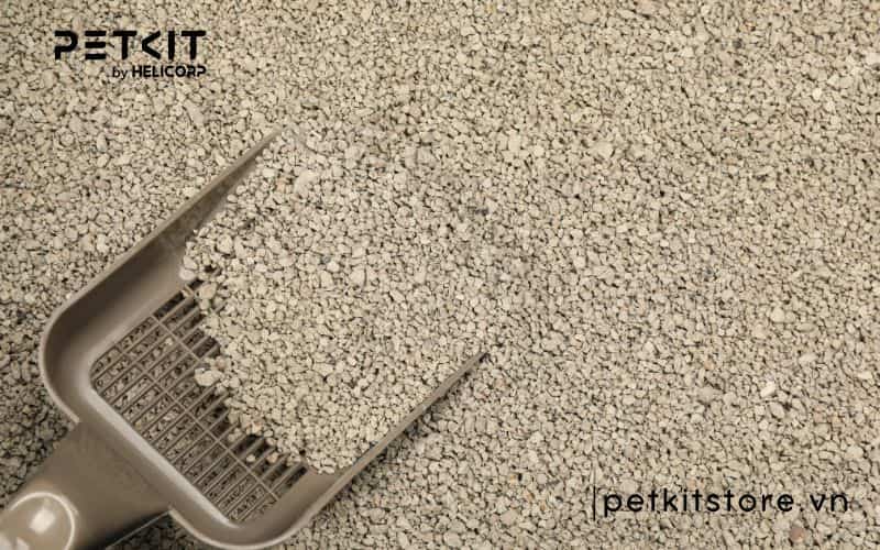 Cát mèo dùng trong bao lâu