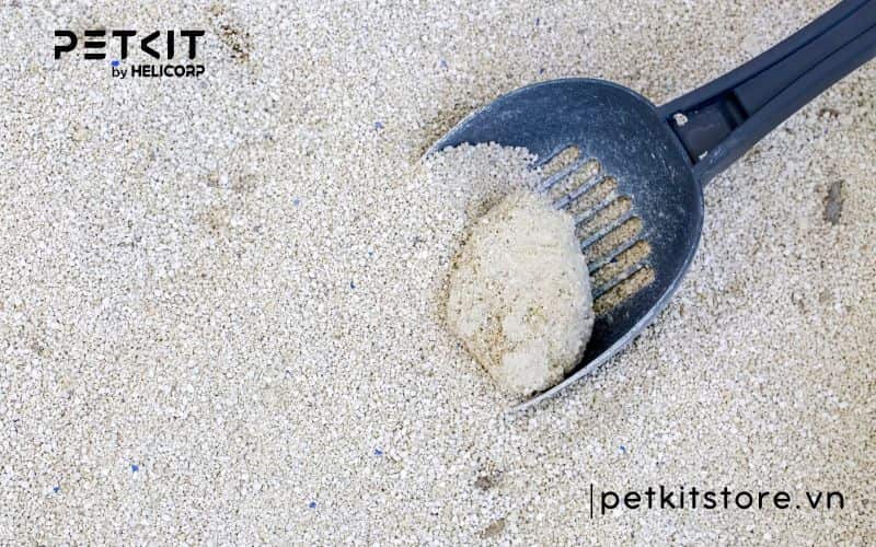 Hướng dẫn cách xử lý cát mèo
