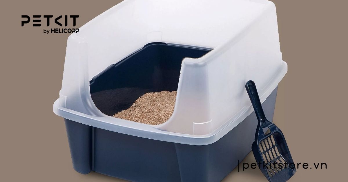 Cẩm nang cách sử dụng cát vệ sinh cho mèo từ A-Z