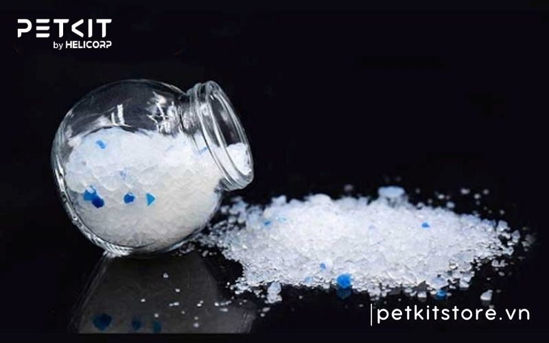 Cát mèo dùng trong bao lâu