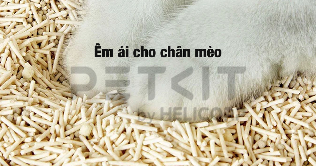 Cát đậu nành phát hiện máu Petkit Occult Blood Test Mixed Cat Litter