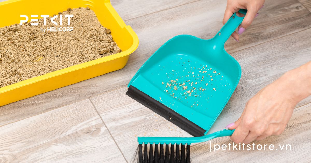 cát mèo không bụi