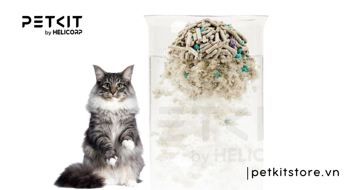 cát mèo không bụi - cát vệ sinh mèo không bụi
