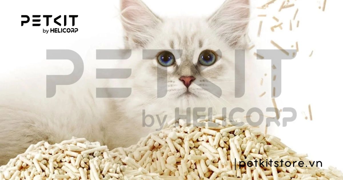 cát mèo không bụi - cát vệ sinh mèo không bụi