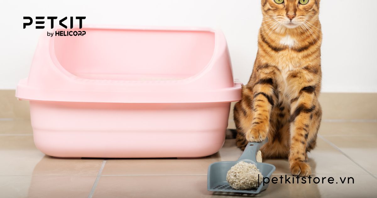 cát mèo không bụi - cát vệ sinh mèo không bụi