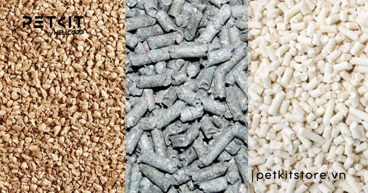 cát vệ sinh cho mèo loại nào tốt