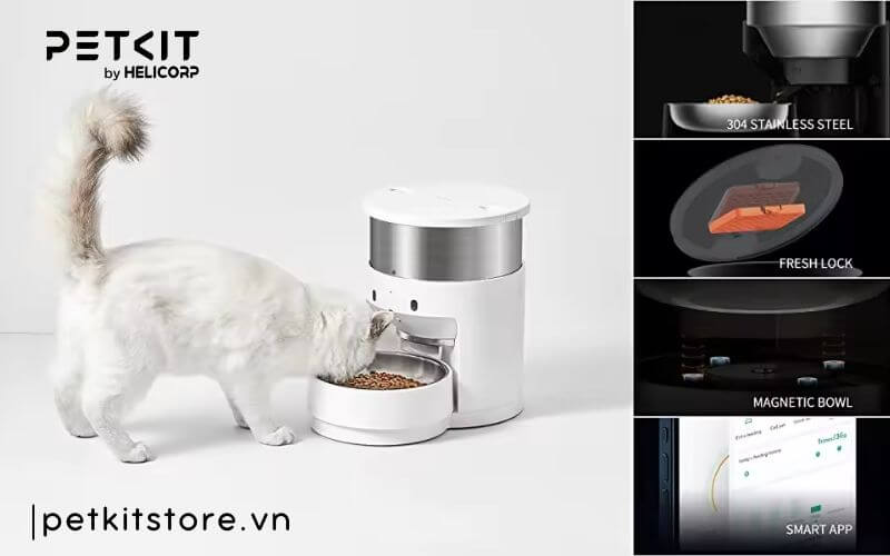 Làm sao để chọn dung tích máy cho ăn phù hợp?