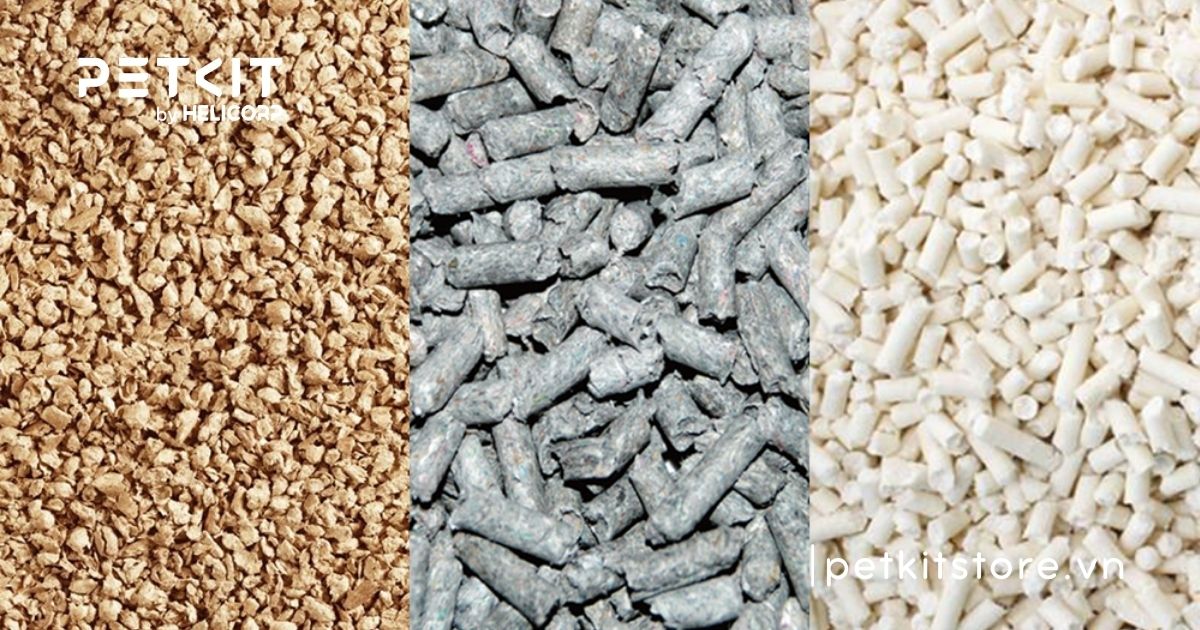 các loại cát mèo