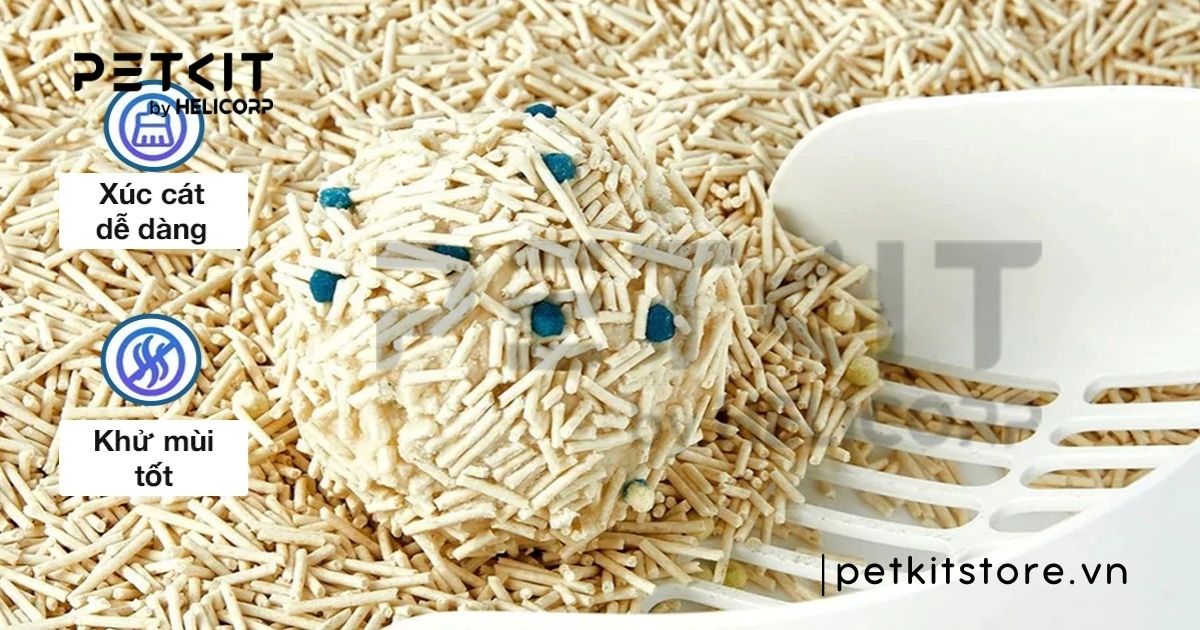 các loại cát mèo