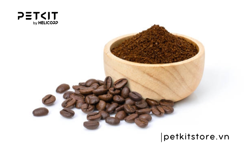 Cách khử mùi nước tiểu mèo trên nệm đơn giản, hiệu quả