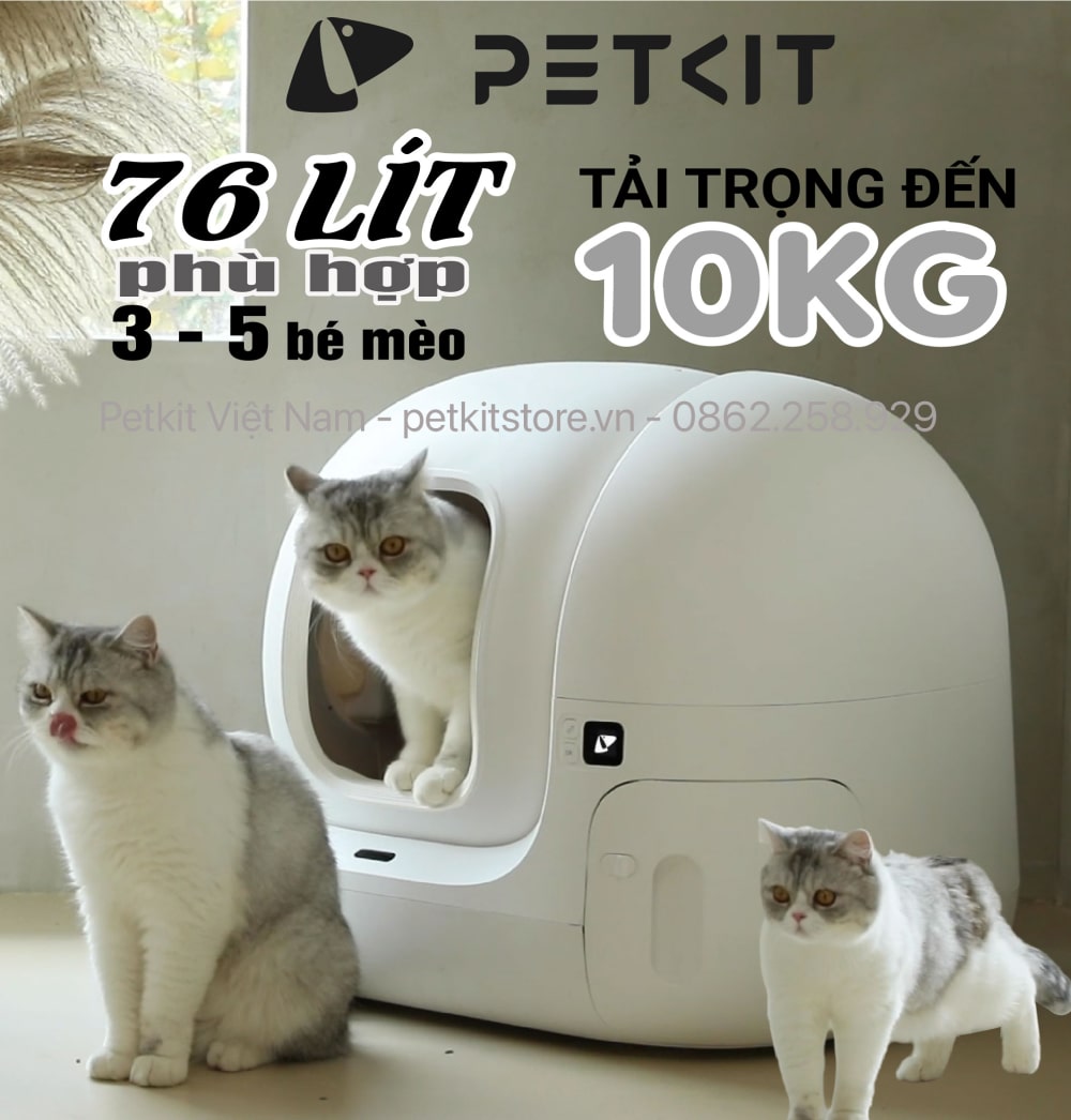 máy dọn vệ sinh mèo petkit pura max