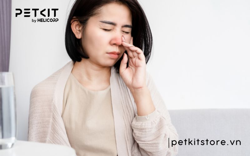 hít phải lông mèo thì phải làm sao