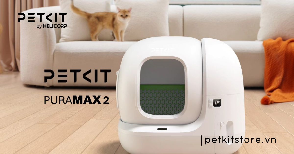 Hướng dẫn mèo đi vệ sinh vào máy dọn vệ sinh chi tiết