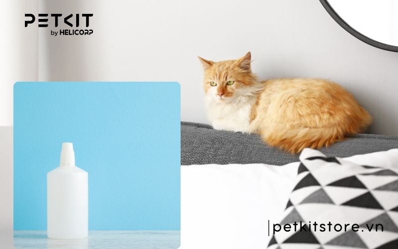 khử mùi nước tiểu mèo trên sofa