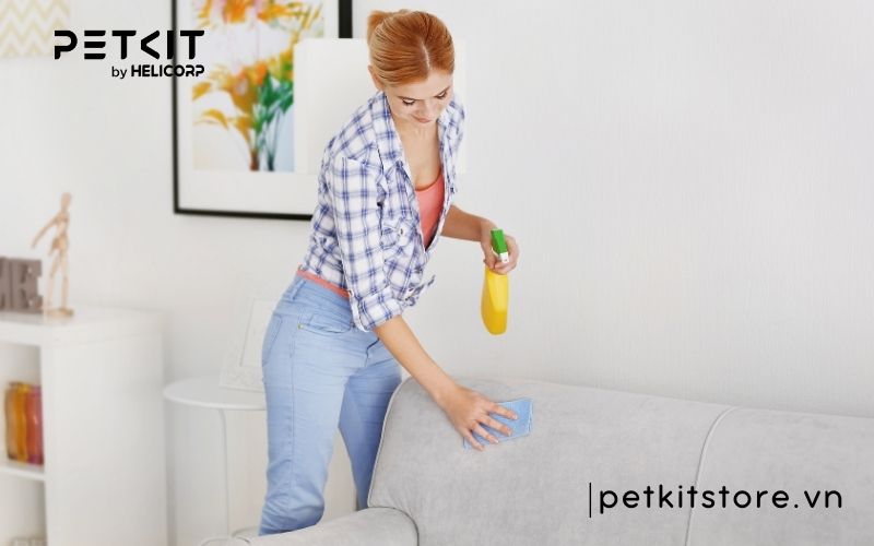 khử mùi nước tiểu mèo trên sofa