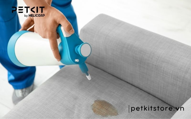 khử mùi nước tiểu mèo trên sofa