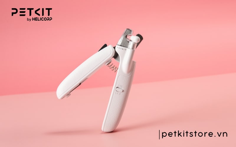 phụ kiện chó mèo petkit