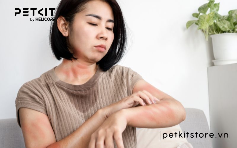 hít nhiều lông mèo có sao không